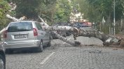 Дърво смачка паркирана кола в центъра на София
