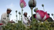 ООН: 30 цивилни са убити при американски удари срещу нарколаборатории в Афганистан