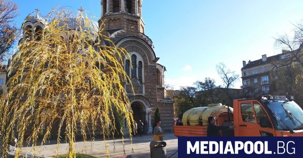 Нова върба беше засадена във вторник пред софийската църква Св