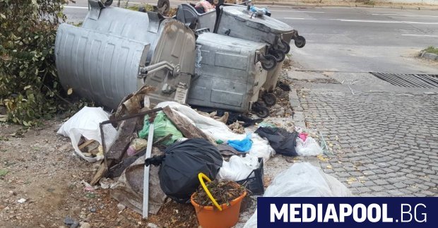 От систематично обръщане на кофи за боклук из цяла София