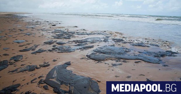 Бразилските власти подозират още четири кораба за петролния разлив замърсил