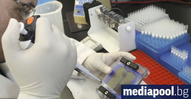 До 5 години геномните изследвания ще бъдат много по достъпни и