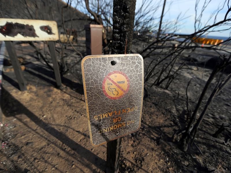 Пожарите в Калифорния застрашиха и жилища на звезди и политици