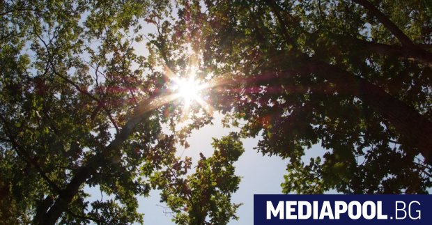 Миналата седмица агроминистърът Десислава Танева обяви че държавата е предявила