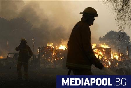 Жертвите на опустошителните пожари които бушуват в Австралия от петък