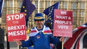 "Г-н Спрете Брекзит", ще се бори за депутатско място в британския парламент