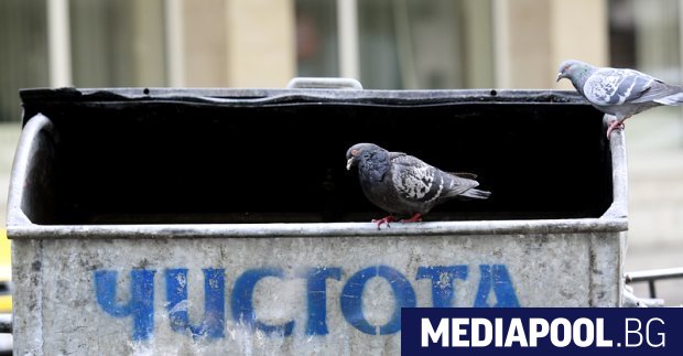 Възлагане на договори на частни фирми без да се спазват