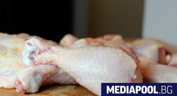 At least 100 tons chicken meat infected with salmonella has