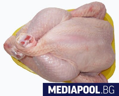 Най малко 100 тона пилешко месо със салмонела от Полша са