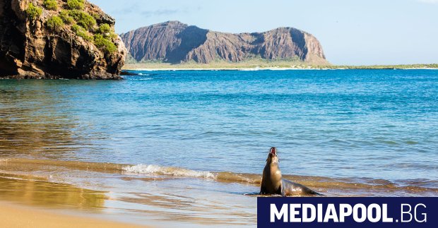Разлив на гориво застрашава околната среда на архипелага Галапагос, след