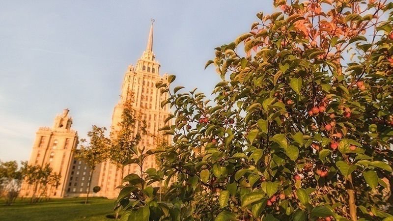 Температурни рекорди в Москва и Санкт Петербург