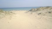 Държавата придвижва продажбата на 31 дка с дюни край Несебър