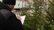 Над 300 незаконни коледни дръвчета са хванати в продажба в София