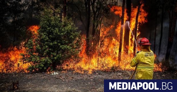 От септември Австралия се бори с няколкостотин големи горски пожара