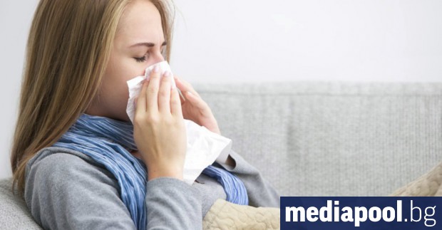 Граничните органи да имат достъп до електронния регистър на болничните