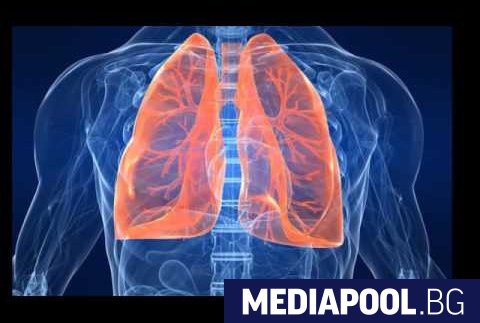 Белите дробове на пушачите се възстановяват след отказ от вредния
