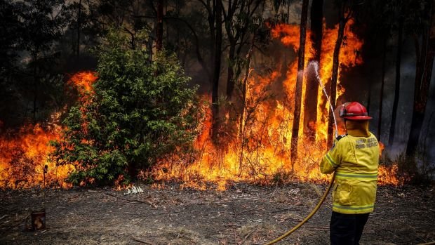 Доброволците са единствената преграда пред пожарите в Австралия