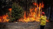 Доброволците са единствената преграда пред пожарите в Австралия