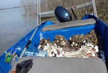 Критично застрашен вид риба е открита мъртва в Дунав
