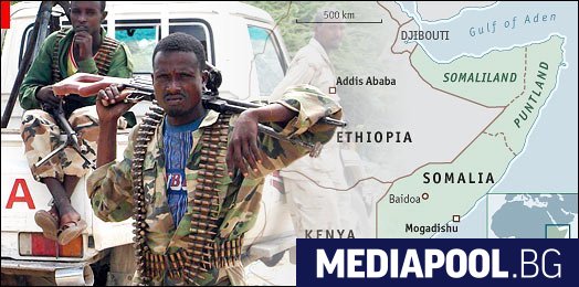 Сомалия обяви извънредно положение заради нашествието на скакалци в Африканския