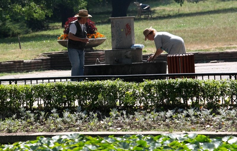 Ремонтът на Борисовата градина отложен под граждански натиск