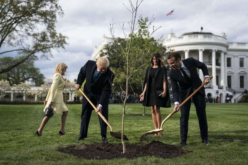 Президентът Доналд Тръмп засажда дръвче пред Белия дом в компанията на френския си колега Макрон и на двете първи дами през юни 2019 година
