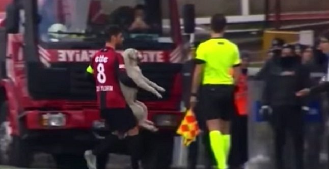 Лабрадор на футболното игрище стана звезда на мач в Турция (видео)