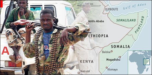 Сомалия обяви извънредно положение заради нашествие на скакалци
