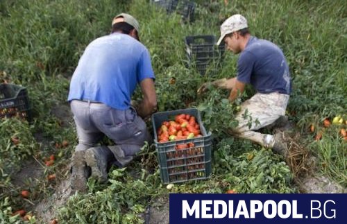 Държавен фонд Земеделие ДФЗ съобщи че е изплатила над 73