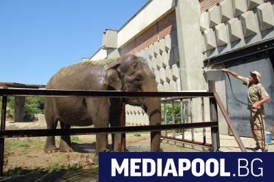 Зоологическата градина в София затваря за посетители от 11 март