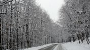 Снегът блокира деца на Витоша, пътища в парка са затворени