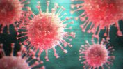 Европейският център за превенция и контрол на заболяванията в борбата срещу коронавируса