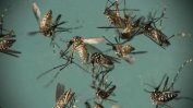 За пръскане срещу комари ще се дадат 1.5 млн. лв.