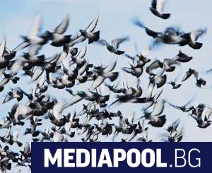 Петнадесет дни след началото на карантината наложена от голям брой