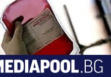 Учени от университета на Хонконг смятат че в лечението на