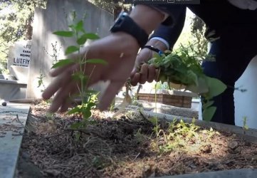 Онлайн близките виждат дали е поддържан гробът на починалия, сн. Хюриет