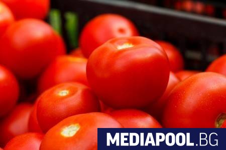 Установени са 24 478 кг вносни зеленчуци от трети страни