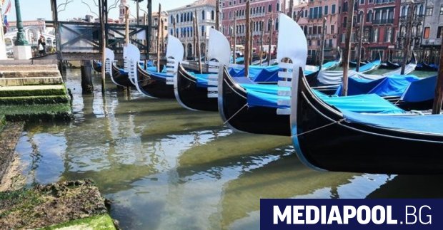 Вече стана ясно че венецианските канали са с много по чиста