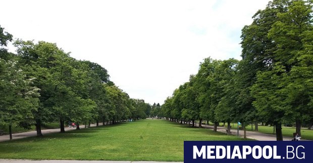 Парковете в София може да бъдат отворени по решение на