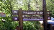 Общината "отваря" Витоша, разходките в парковете ще са по-свободни