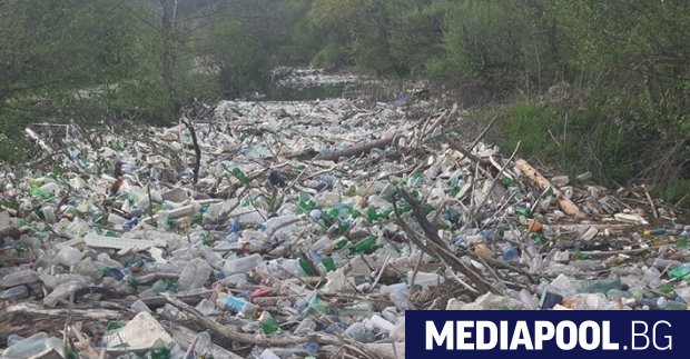 Едноименната река край разложкото село Елешница е задръстената от огромно