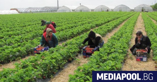 Постепенното отпускане на противоепидемичните мерки и раздвижването на пазара на