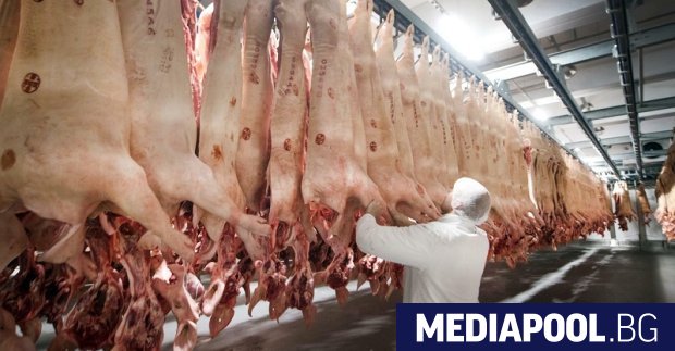 Германска компания от месопреработвателния сектор съобщи че от началото на