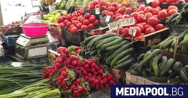 Търговци на плодове и зеленчуци които са внос от Гърция