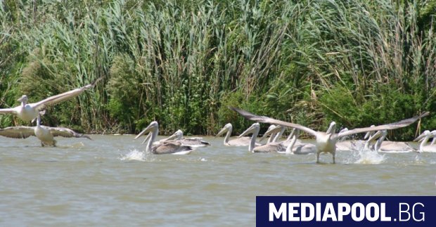 Изливаните милиарди евро в различни мерки по Общата селскостопанска политика