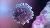Bulgaria sees rapid rise in coronavirus infections – 83 in a day - UPDATED
