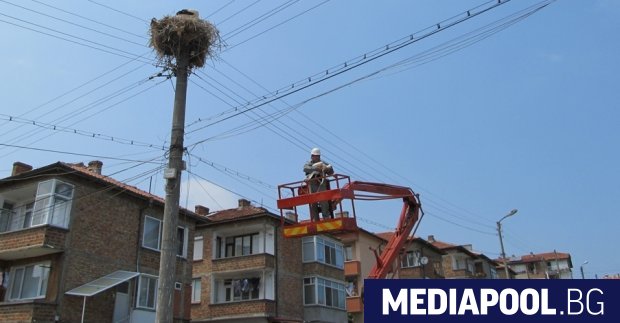 Пожарникари от Нова Загора са спасили щъркелово гнездо от запалване