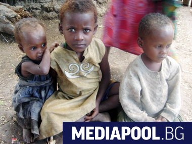 Половин година след началото на най значимата пандемия от много