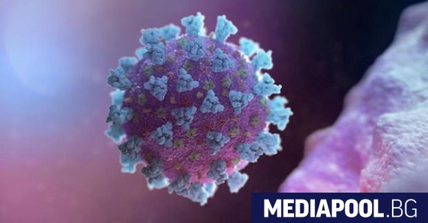 Чехия регистрира 168 нови случая на коронавирус днес Това е