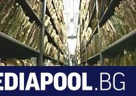 Германия предвижда да създаде от лятото на 2021 г длъжността